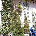 Garden 3*
