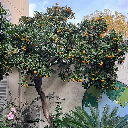 Garden 3*