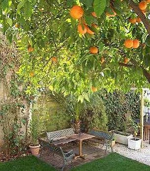 Garden Отель