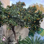 Garden 3*