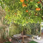 Garden Hotel